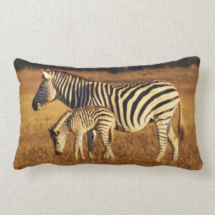 Zimbabwe, Hwange National Park, Linkwasha Lumbar Cushion