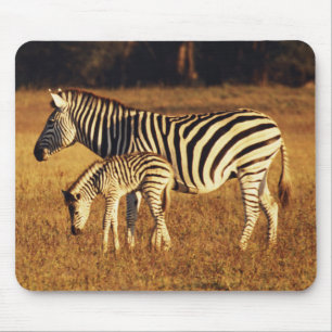 Zimbabwe, Hwange National Park, Linkwasha Mouse Pad