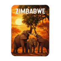 Zimbabwe Illustration Travel Art Vintage