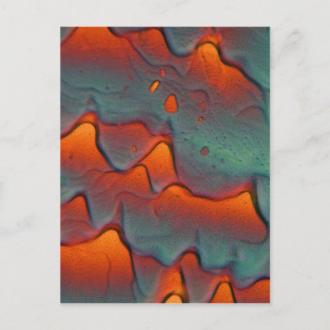 Zinc acetate crystals under the microscope postcard (Front)