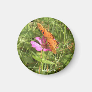 Zinnia & Butterfly Magnet
