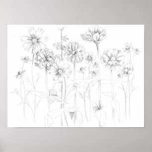Zinnia Cosmos Flowers Pencil Drawing Botanical Poster