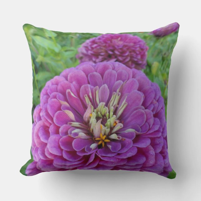 Zinnia Cushion (Front)