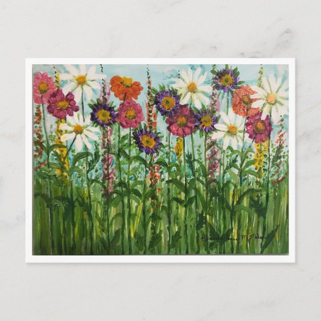 Zinnia, Daisy, Aster Flowers Postcard (Front)