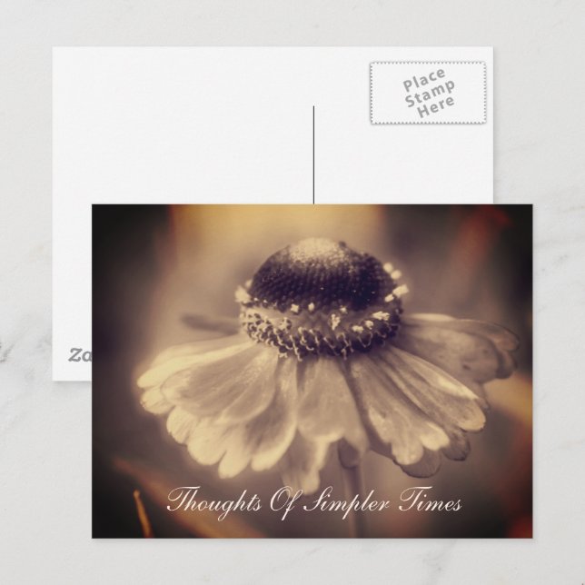Zinnia Flower Simpler Times Inspirational Postcard (Front/Back)