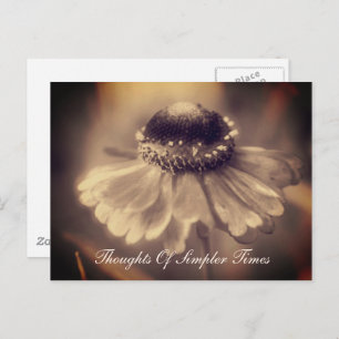 Zinnia Flower Simpler Times Inspirational Postcard