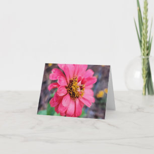 Zinnia Note Card - Original Photography