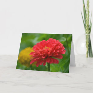 Zinnia Notecard