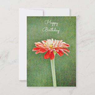 Zinnia Red Flower Artsy Flat Birthday Card
