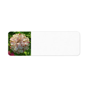 Zinnia return address label