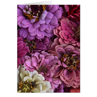 Zinnia Slice