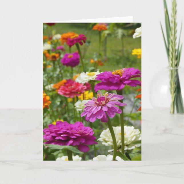 "Zinnias 3." Greeting Card (Front)