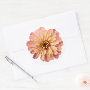 Zinnias Floral Flower Nature Photography Classic Round Sticker