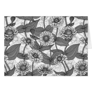 Zinnias, monochome on white