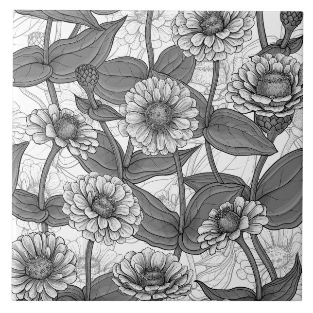 Zinnias, monochome on white ceramic tile (Front)