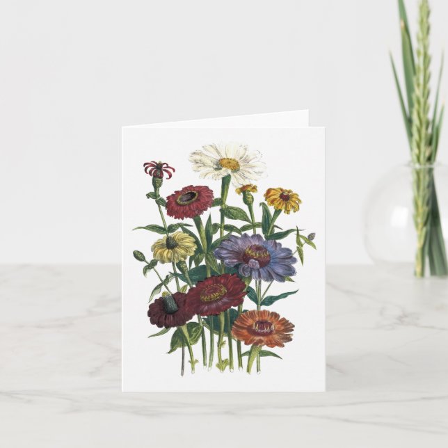 Zinnias Watercolor Blank Note Card (Front)