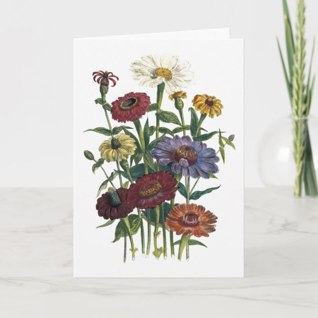 Zinnias Watercolor Sympathy Card (Front)