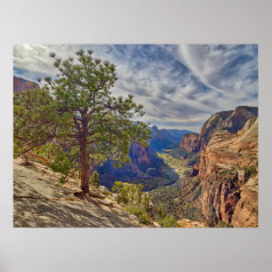 Zion Canyon View from Angels Landing Poster