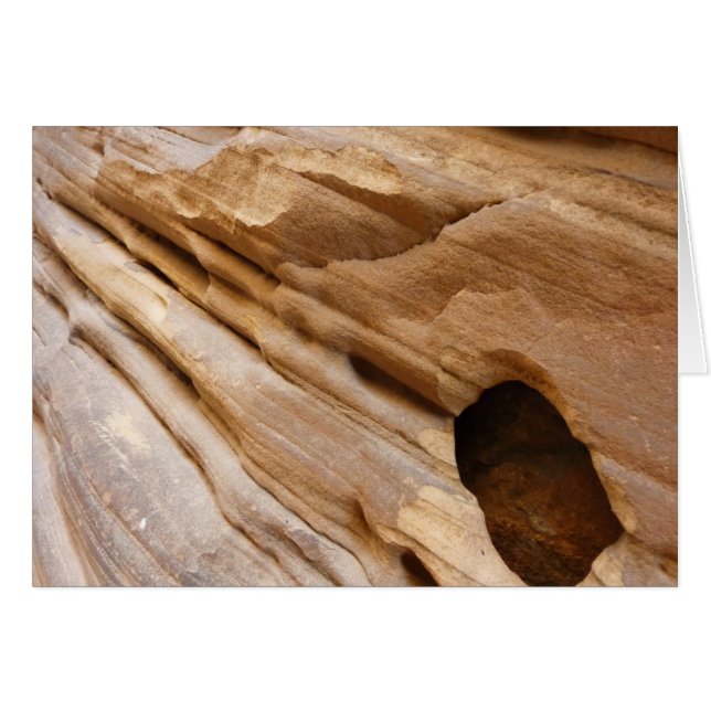 Zion Canyon Wall I Abstract Nature Photography (Front Horizontal)