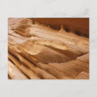 Zion Canyon Wall II Red Rock Abstract Photography