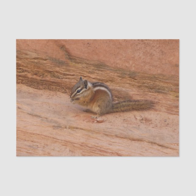 Zion Chipmunk on Red Rocks Tissue Paper (Front)