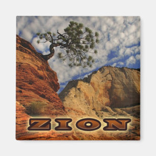 Zion Magnate Magnet