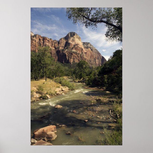 Zion Mountain Stream poster (Front)
