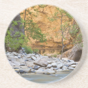 Zion Narrows Coaster