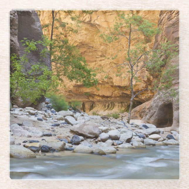 Zion Narrows Glass Coaster (Front)