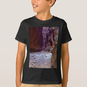 Zion Narrows Hiking Through The River In Zion Narr T-Shirt