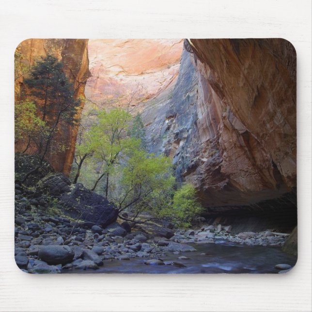 Zion Narrows Mouse Pad (Front)