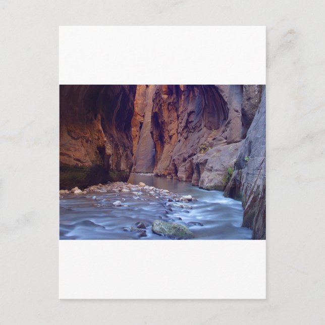 Zion Narrows National Park Postcard (Front)