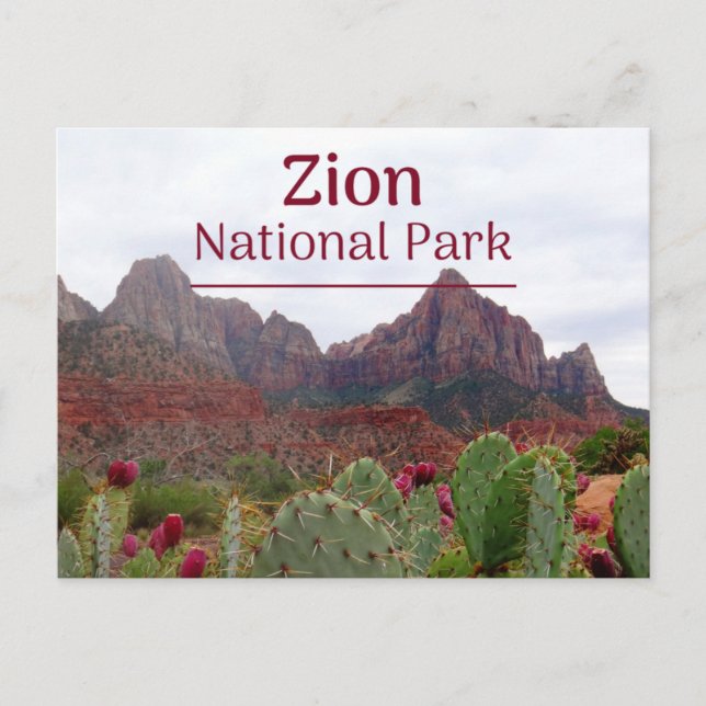 Zion National Park Bloom Postcard (Front)