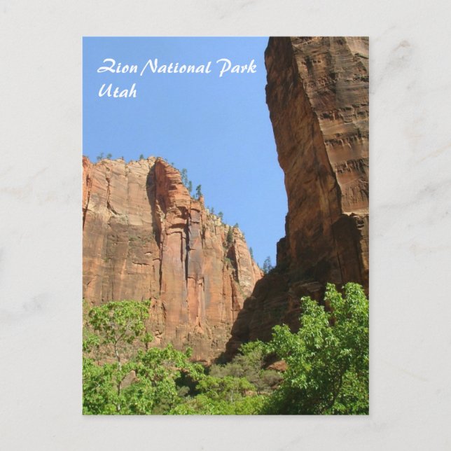 Zion National Park Postcard (Front)