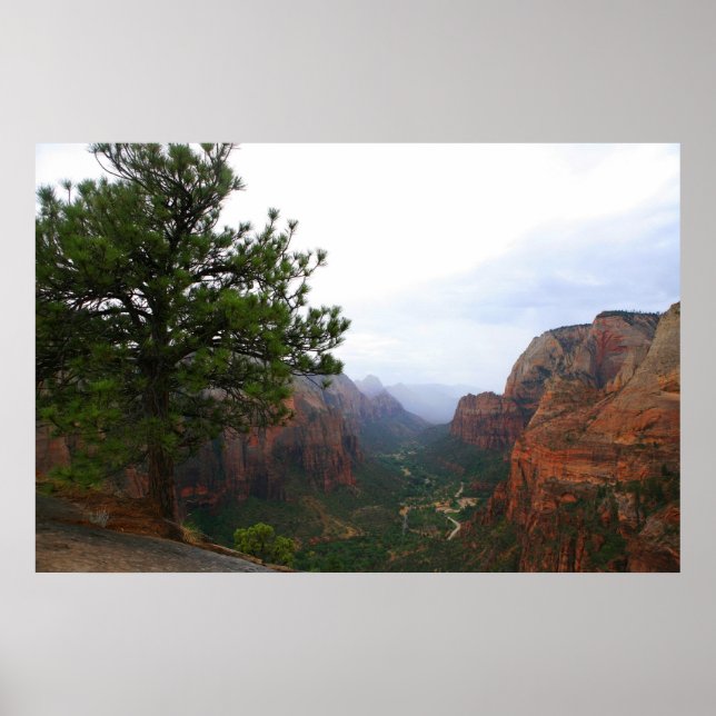 zion national park poster (Front)