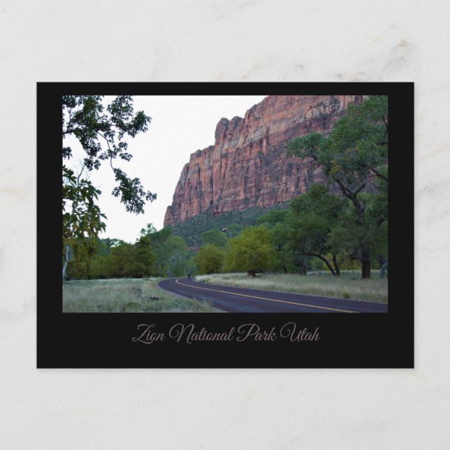 Zion National Park Roadway Postcard (Front)