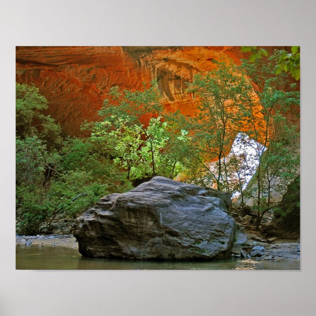Zion National Park Rock in the Virgin River Poster (Front)