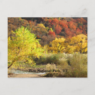 Zion National Park, Utah Autumn Colours Scenery Postcard