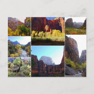 Zion National Park, Utah, Collage Postcard