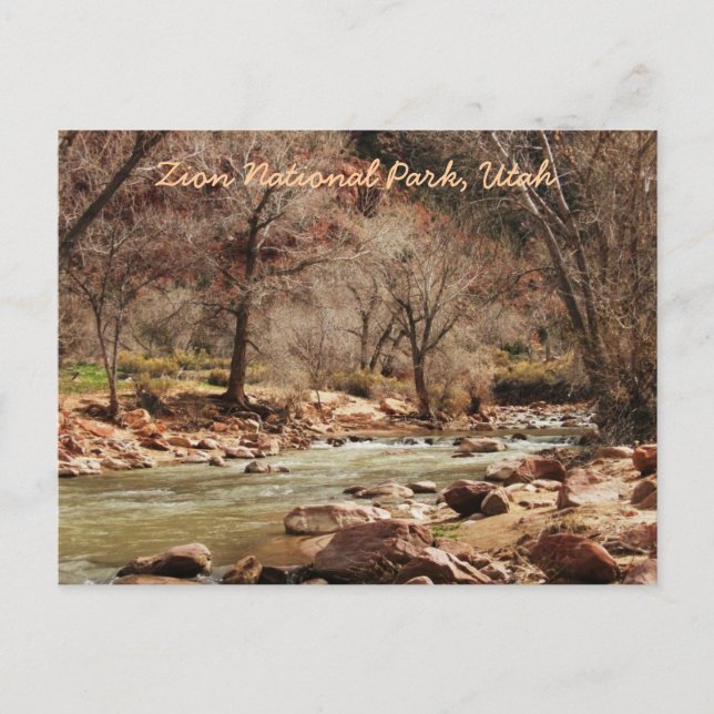 Zion National Park, Utah Postcard (Front)