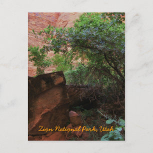 Zion National Park, Utah Postcard