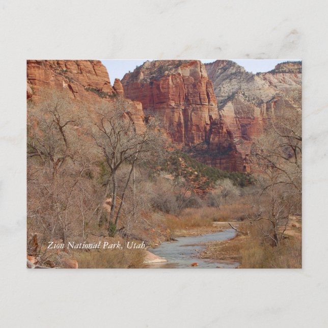 Zion National Park, Utah Postcard (Front)