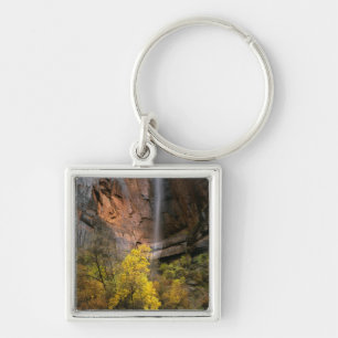 Zion National Park, Utah. USA. Ephemeral Key Ring