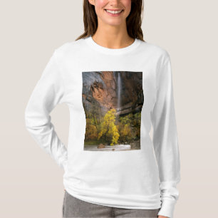 Zion National Park, Utah. USA. Ephemeral T-Shirt