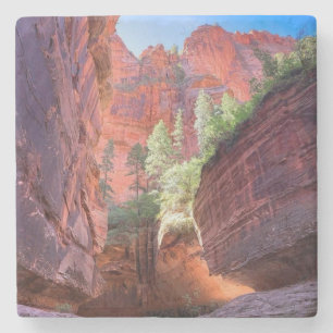 Zion National Park, Utah, USA Stone Coaster
