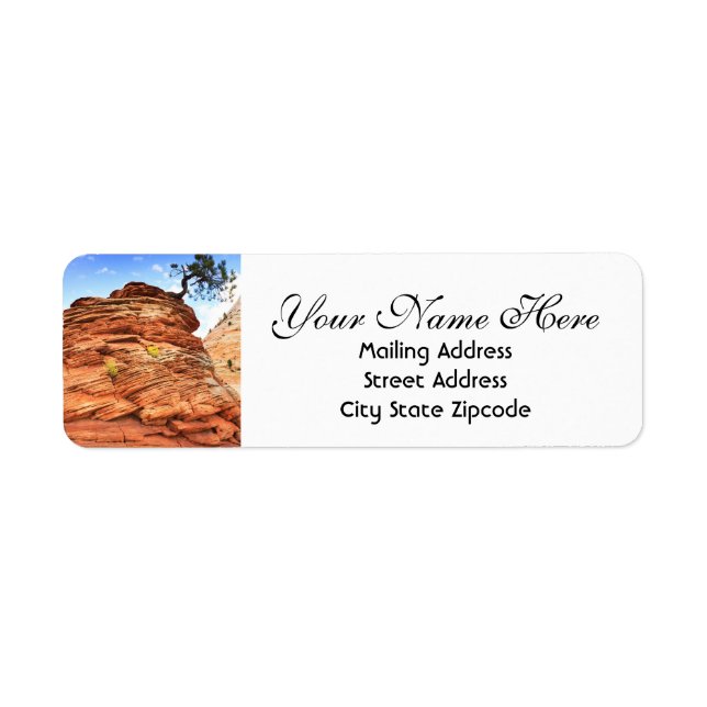 Zion Tree Return Address Return Address Label (Front)