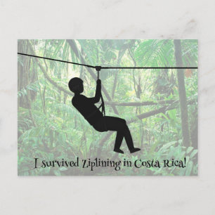 Zipline Postcard