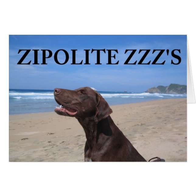 ZIPOLITE ZZZ'S (Front Horizontal)