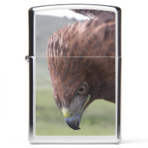 ZIPPO LIGHTER FEMALE RED TAILED HAWK