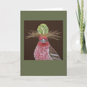 Zippy the house finch greeting card